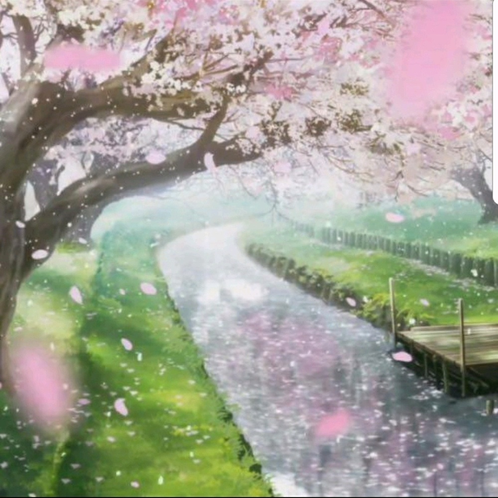 Meet your Posher, Saba